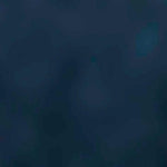 Cool Kick Sneaker 16609