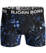 Shorts BB LA Cloud 1911-1237