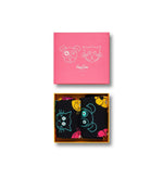 Cat VS Dog Gift Box XDOG02