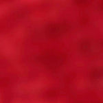 Cosyshoe 47571