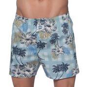 Hawaii Check 100% C 192054