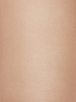 Pure Shimmer 40 Concealer Tight 14732