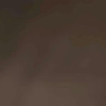 Shap. Panty 20TI 40512