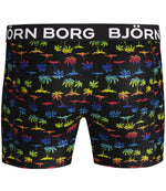 Shorts BB Rainbow 2P 1921-1158