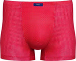 Shorty 26921
